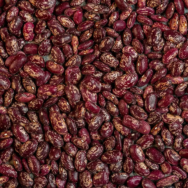 kirmizi_benekli_barbunya